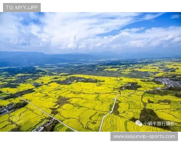 开云体育代理提成比例避坑指南 电竞投注盘口防骗 开云体育代理提成比例避坑指南 电竞投注盘口防骗